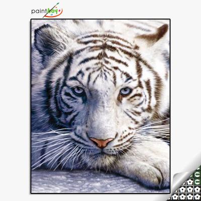 China 40*50 New Design Impressionist Paintboy Tiger On Canvas DIY Diamond Painting Frame for sale