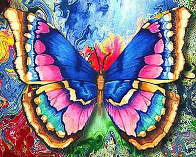 China Europe GZ538- 40*50 5D diamond butterfly diy diamond painting animal for sale