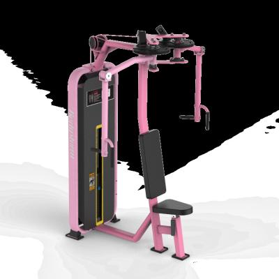 China Use Fitness Machine Factory Commercial Pin Loaded Gym Fitness Rear Deltoid / Chest Fly Machine for sale