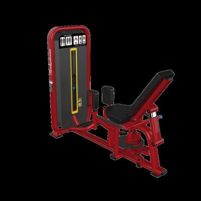 China Commercial Invocation Hip Abduction Machine Exercise Equipment Gym Use 2-Mode Machine for sale