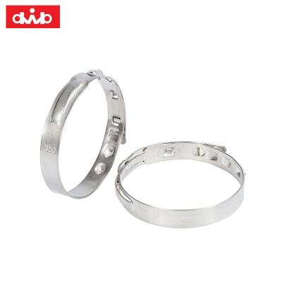 China Hose Clamp Different Sizes Car Tube Used Hose Clamps Stainless Steel Single Ear Hose Clamps for sale