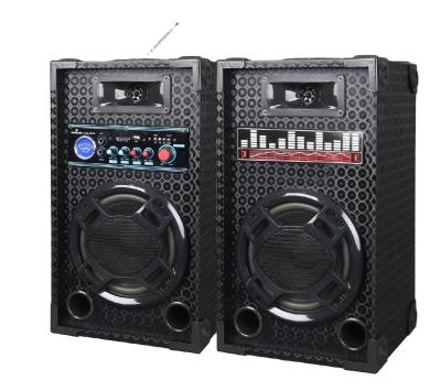 China SOUTH AFRICA POPULAR 8inch PROFESSIONAL SPEAKER WITH USB/SD/FM/BT for sale