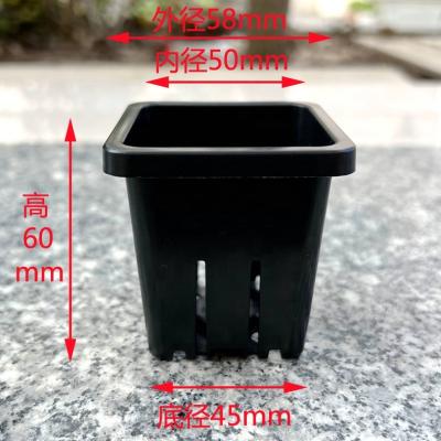 China Good Strong Quality Merchandise 2Inch Plastic Well Square Hydroponic Net Pots for sale