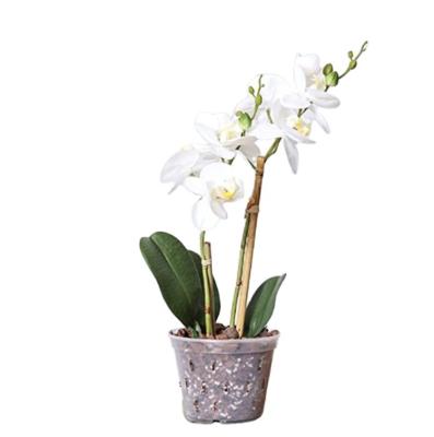 China CLASSIC Factory Wholesale Price Durable Nursery Flower Pot Clear Plastic Orchid Pot for sale