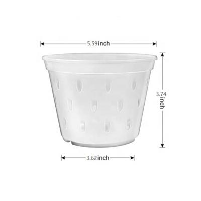 China Durable Eco - Friendly Clear Orchid Pots With Holes Plastic Flower Planter Hard Plastic Orchid Pot for sale