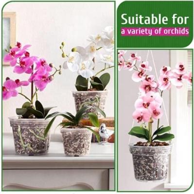 China Amazon Durable 2022 Clear Plastic Orchid Pot 9 Pack Orchid Pots With Holes for sale