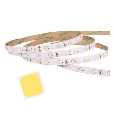 China flexible custom color dc12v 24v smd2835 120leds 5m indoor ip20 LANDSCAPE cri90 2700k warm cool white 6500k led strip for sale