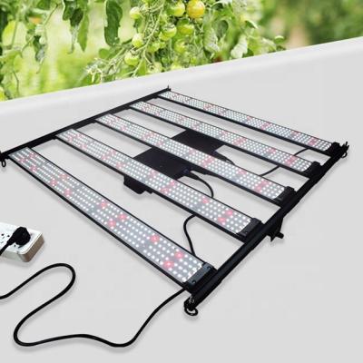 China FLOWER V4 480W Led To Grow Light For Hydroponics for sale