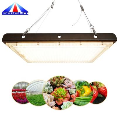 China Seed Starting LED To Grow Kit Without LM301H LM301B 660nm IR Horticulture Light 288 Panel 120W UV Light Kit for sale