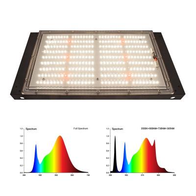 China original 288leds LM301B/LM561C/S6 bin diodes led factory light Samsung 480w 900w lm301H LM301B indoor hydroponic UV full spectrum led grow light for sale