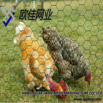 China Gabions Factory Price of Hexagon Wire Netting, Chicken Mesh for sale