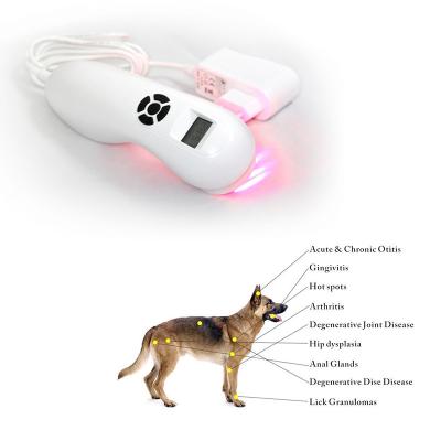 China dispositivo Handheld do laser da fisioterapia 510mW para a dor de músculo traseira do ombro à venda