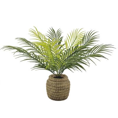 China Mini Artificial Plants Plastic Potted Planters Eco-friendly Palm Tree Green Living House Plant With Bonsai Trees for sale