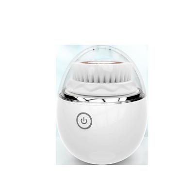 China Facial Massage Cleansing 2020 New 3 Grades Vibration Adjustment Listing Facial Cleansing With Two Heads for sale