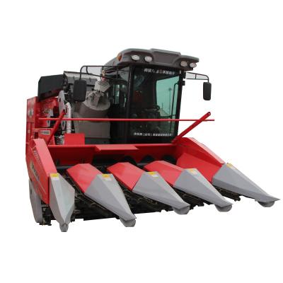 China China KLAAS brand 4 rows maize harvester mild yellow maize harvester for sale