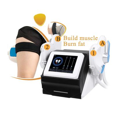 China Hot Sale EMS Floor Fat Weight Loss Muscle Stimulator Machine Pelvic Burning Treatment Equipment for sale