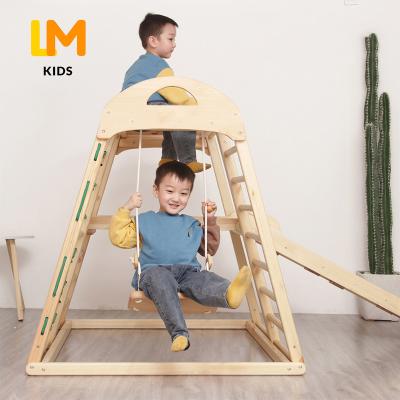 China Montessori Indoor Classic Wooden Toddler Playground Climbing Frame Kids Play Indoor Gym for sale