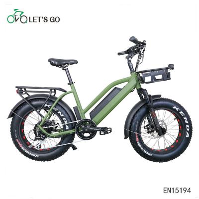 China Aluminum Alloy 2019 new arrival 20inch electric fat bike with rear rack foldable for sale