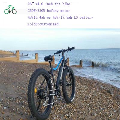 China Aluminum Alloy high speed fat tire electric bike 48V/750W for sale