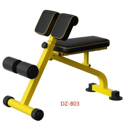 China Universal Home gym Fitness Equipment Back Extension Multifunctional Roman Chair Sit up Adjustable Folding Dumbbell Preacher Curls bench for sale