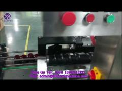 1951 M21 Rotary Automatic 6 Head Plastic Cap Capping Machine