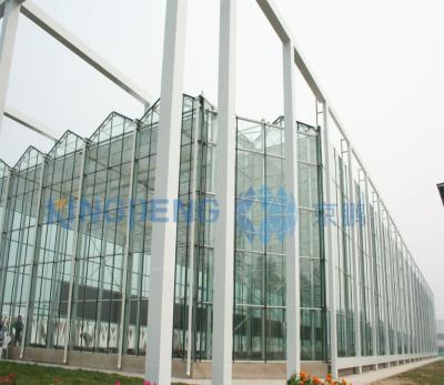 China Multi Span Double Layer Agricultural Glass Greenhouse Available for sale