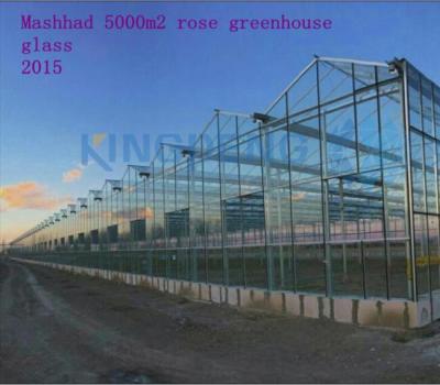 China Metal Venlo Polycarbonate Sheet Greenhouse For Sale for sale