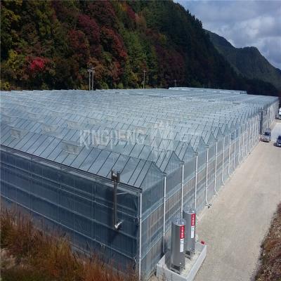 China Easily Assembled Foldable Polycarbonate Sheet Roof Greenhouse for sale