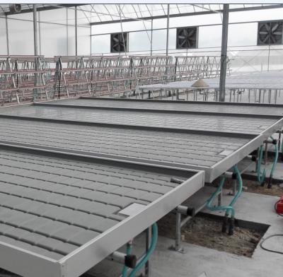 China ECOLOGICAL Tidal Irrigation System for Nursery and Seedling Greenhouse for sale