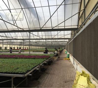 China PE plastic film greenhouse for agriculture for sale