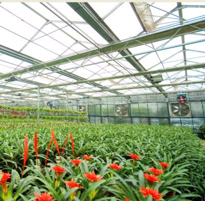 China Agricultural greenhouse watering irrigation device for greenhouses for sale