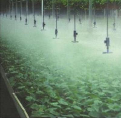 China Water-saving greenhouse pot irrigation for sale