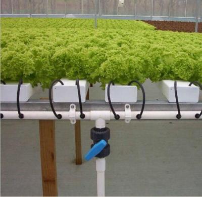 China Plant Growth Container Hydroponic Channel for sale