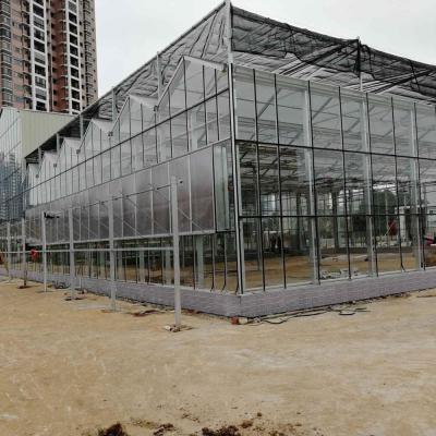 China Easily Assembled Teaching Experience Greenhouse for sale