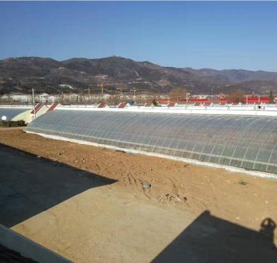 China Greenhouse glass construction for sale