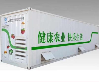 China Plant Growth Container Greenhouse for sale