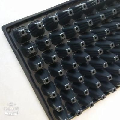 China Eco-friendly Factory Taizhou 98 Cell Seedling Seed Trays With Holes for sale