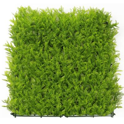 China Cheap Artificial Decoration Green Grass Plant Wall For Decoration for sale