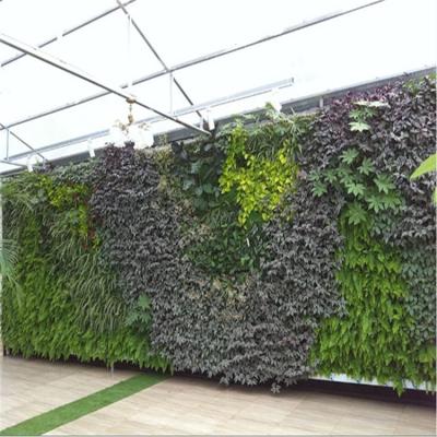 China Plastic Nature Green Decoration Plastic Artificial Leaf Outdoor Wall for sale