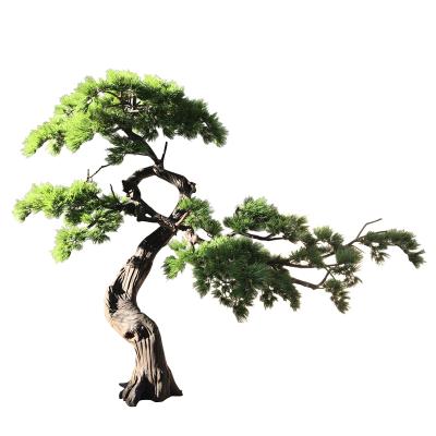 China Chinese Designer Decoration Factory Wholesale Indoor Artificial Bonsai Pine Tree for sale