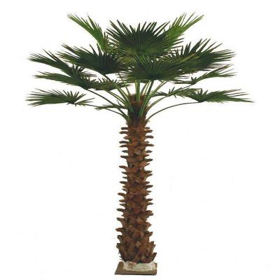 China Cheap Outdoor Decoration Artificial Palm Tree With 2020 New Design for sale