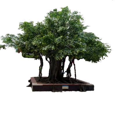 China Decoration Plants Fake Banyan Trees Wholesale Artificial Large Trees Home Decor for sale