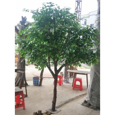 China Anti-UV Hot Selling Artificial Ficus Artificial Large Banyan Tree For Indoor And Outdoor for sale