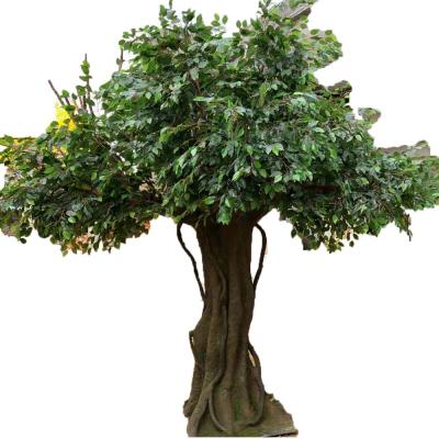 China Outdoor Large High Quality Artificial Fiberglass Ficus Tree From China Manufacturer Decoration for sale