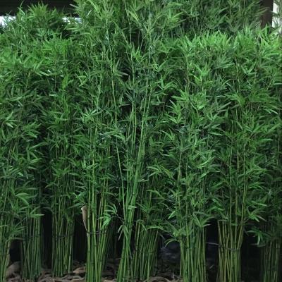 China Sustainable Artificial Bamboo Fence Hedge Decor for sale