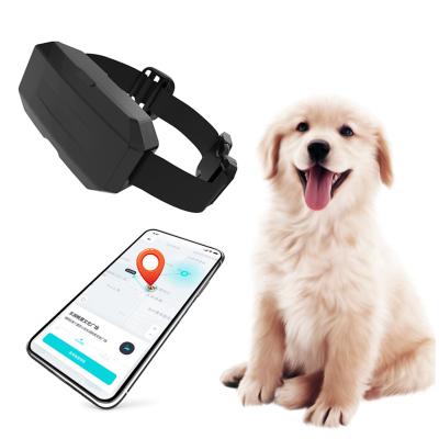 China Huaxin 4G COM Theft Waterproof Net Pet Smart Collar Gps Tracker GPS Pet Tracker IP67 Full Anti Rating Waterpoof 4g With App For Dog Cat for sale