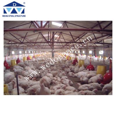 China Farms Designs Modern Chicken Farm Chicken Cages Poultry Farm Chicken Farm Layer Cages For Sale In Zimbabwe for sale