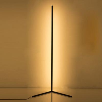 China Eco-friendly Corner Lamp RGB Interior Living Room Lighting Led Floor Lamp for sale