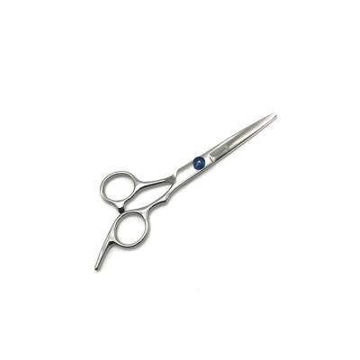 China Beard Scissors Plated Professional Blue Screw Barber Salon Hair Cutting Beard Trimming Scissors Shears for sale