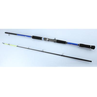 China Carbon Fishing Rod Building Boat 2 Pieces Seawater Seawater Shore Fast High Carbon Canna for sale